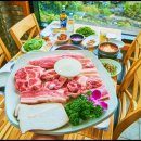 거구돼지 이미지