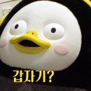 유튜버 꿈나무 이미지