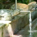 갯골샘터 이미지