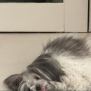 혜정아파트 | 1_ToMyJanuary