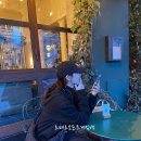 예인소프트 이미지
