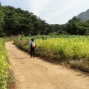 송림길삼거리 이미지