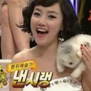 펫츠올 동물의료원 이미지