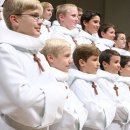 (공연) 파리나무십자가 소년합창단 크리스마스 특별초청공연 이미지