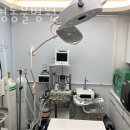 재영동물병원 이미지