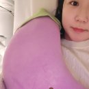 슈가링바이지 이미지