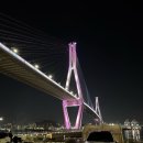 오토인 | 부산 영도마리노 오토캠핑장 명당 39번 후기