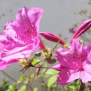 한시 128회 - 便紙 편지 이미지