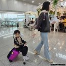 유아캐리어 마이크로 러기지이지 타는 아기캐리어