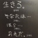 나리타 이미지