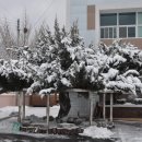 사곡면사무소 이미지