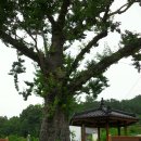 돌산초소밑(용두산성) | 구미 천생산-유학산-용두암산 연계산행