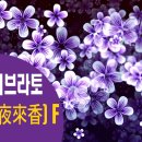 하모니카(1년) 이미지