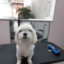 몽개몽개 이미지