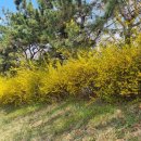 광려천 남로 이미지