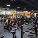 설레임휘트니스 이미지