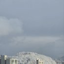 백성세탁소 | 가좌행복주택 16형 3년 산 후기