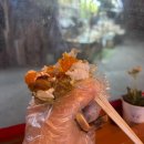 연평수산 | 부평 연평포차 | 부평시장 야장 술집에서 먹는 암꽃게찜 후기