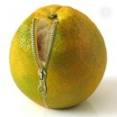 소선명농장 이미지