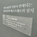 솔로투(solotu)