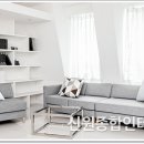 신원종합인테리어 이미지