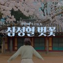 제주 삼성혈 | 제주 삼성혈 벚꽃 명소 후기 도민할인 주차정보