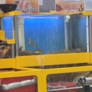 탐나종합어시장 안양비산점 이미지