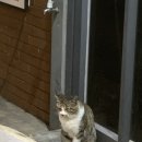 삼정게임랜드 이미지