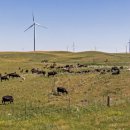 광신농장 이미지