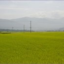 송정아지트