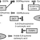 라파엘의원 이미지