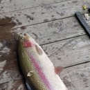 호저낚시터 이미지