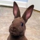 신라해장국 이미지