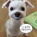 6월 #1