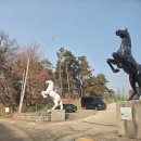 승마장 야외화장실 2 | 경기도 승마장 ‘홀스메이트’ 방문 후기: 서울근교 승마장에서 즐기는 이색 취미 승마 레슨!