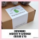 [<b>밤부</b><b>베베</b>] ‘믿쓰밤5기’ 발대식 다녀온 후기(<b>밤부</b><b>베베</b> 서포터즈)