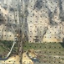 꽃그리고 이미지