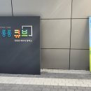 롱롱# | 에코롱롱 캠프 후기 및 모집일정 안내 [여름방학체험추천]