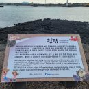 제주 월령리 선인장군락 이미지