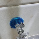 시골본가 이미지