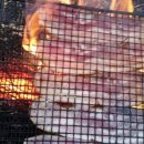 꿀꿀이농장 이미지