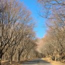 동남(독립)-22-02 이미지