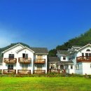 강이있는풍경 이미지