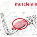 B&R휘트니스 이미지
