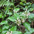 해넘이길 이미지