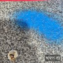 동덕현대 | [국장 초고수] 동덕여대 사태 테마주 키워드 등장, &#39;리무버 관련주&#39;