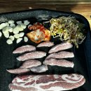 양지 이미지