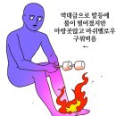 린채