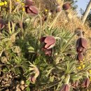 태양마을 이미지