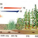 천이랑